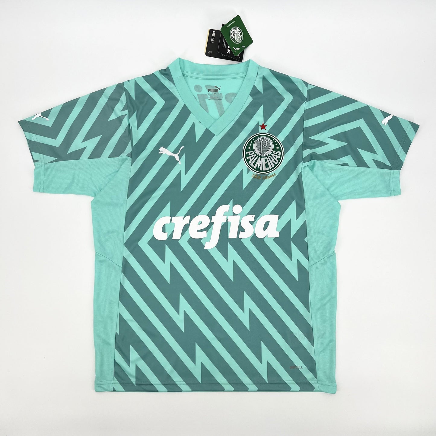PALMEIRAS PORTIERE VERDE 24/25 UOMO